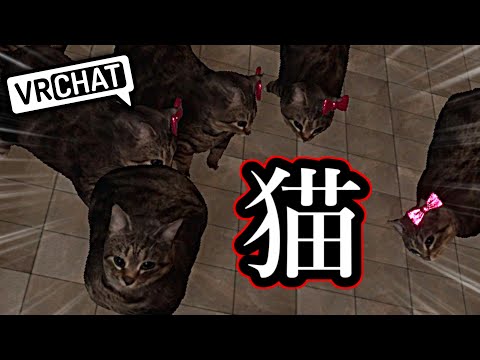 謎の猫meme集会が始まったんだけどwww【VRChat】