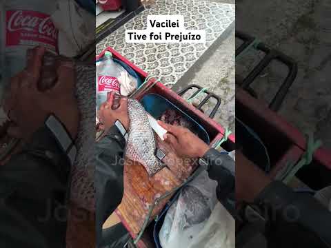 Fui agradar o cliente tive foi Prejuízo #peixaria #vendedor #peixe