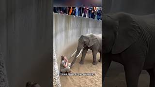 A veces, el animal más grande es el que tiene el corazón más cuidadoso. #culturageneral #Animales