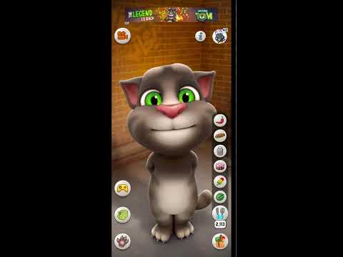 Talking Tom Game