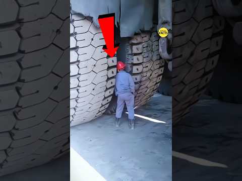 This Man Hid In The Flying Plane Tyre 😱