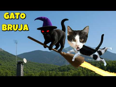 ¡Mi gato se convirtió en BRUJA y voló en ESCOBA con animación IA! 🐱✨| Luna y Estrella
