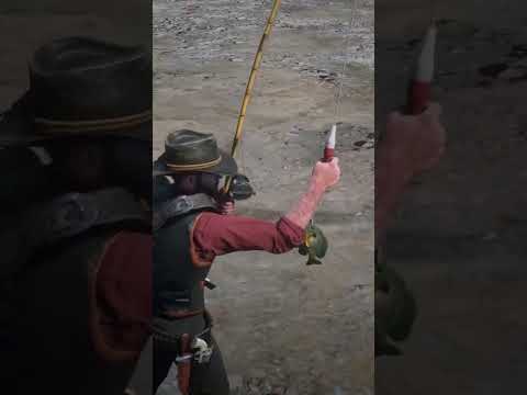 remove the water to catch a legendary fish in red dead redemption 2  #rdr2 #gaming