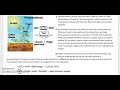 Photosynthesis Essentials for 5th Graders