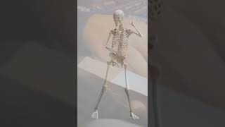 How a 'Dancing Plague' Changed History Forever