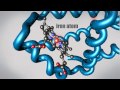 Exploring Protein Structure and Function
