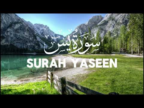 Beautiful Surah Yaseen(Yasin) | سورہ يسٓ | The heart of Quran #surahyaseen #surahyasin 250715
