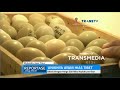 Download Video Uniknya Ayam Hias Tibet 02 Download Video Uniknya Ayam Hias Tibet 02