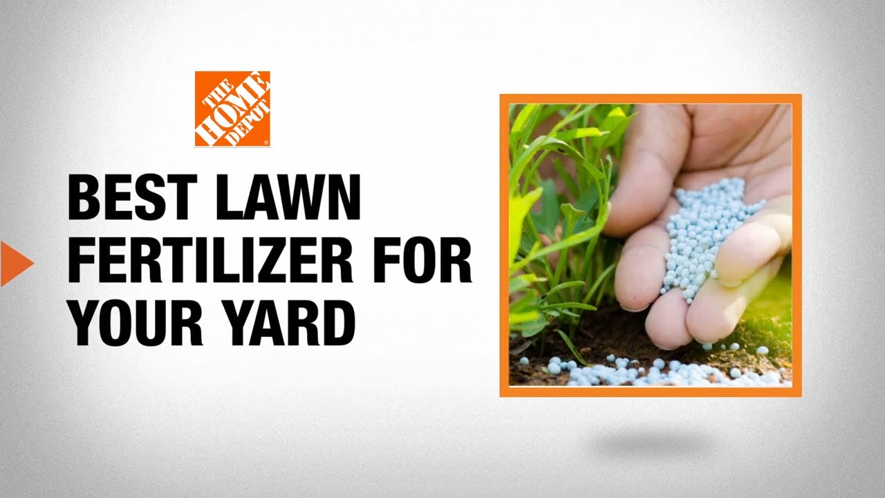 Best Lawn Fertilizer for Your Yard