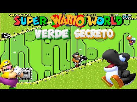 Super WARIO World