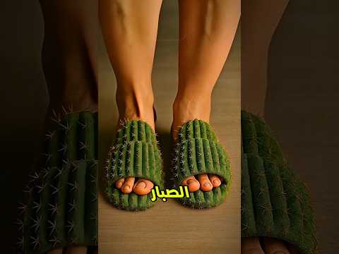 ماهو الشبشب الأفضل الذي ستختاره 😍🔥؟؟