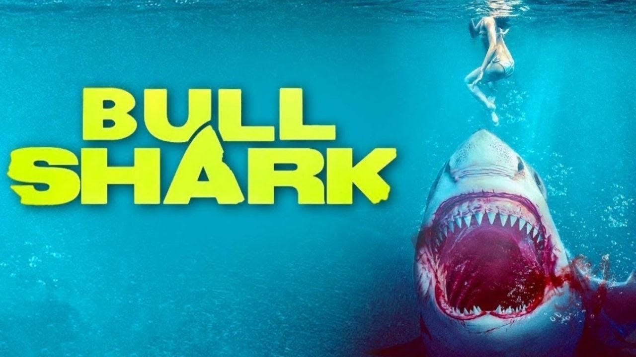 Bull Shark Anonso santrauka