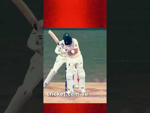 Leg side LBW. #shortvideo #cricket #shorts