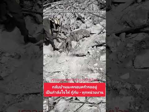กลับบ้านเฮา