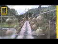 Cocos National Park and Illegal Fishing