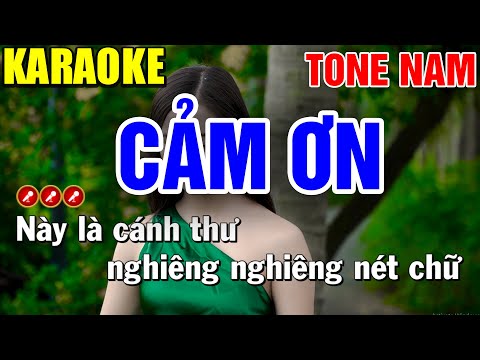 CẢM ƠN Karaoke Nhạc Sống Tone Nam ( PHỐI MỚI ) | Bến Tình Karaoke