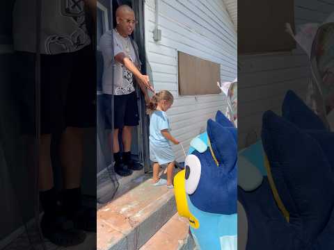 Savvy Surprises Tim With Pet Bluey ๐ณ๐ฑ