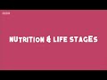 Nutrition Through Different Life Stages