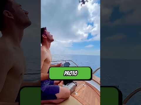 Pomoc uvězněné velrybě s pomocí žraloka ❤️