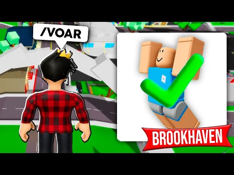 BUG de COMO VOAR no Brookhaven!