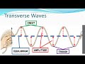 Exploring Wave Basics and Speed