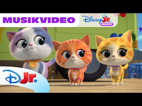 Roliga sånger från SuperKattungar | Disney Junior Sverige