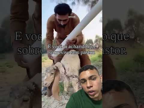 Oque você acha da atitude dele