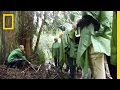 BioBlitz Event Insights