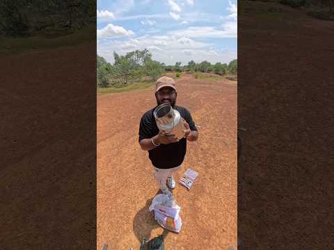 Wait Till End #shorts