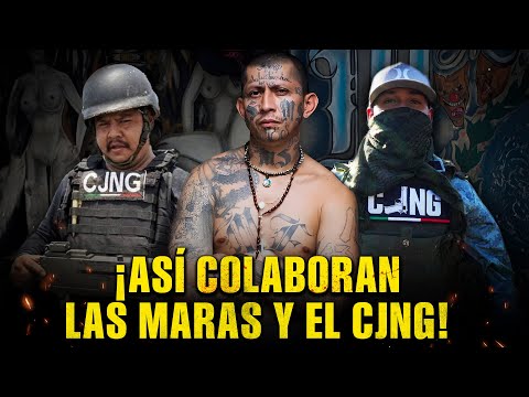 Así la MS-13 se CONVIRTIÓ en el BRAZO ARMADO del CJNG en 2025