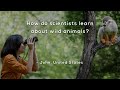 Wildlife Observation and Jane Goodall's Discoveries