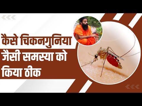कैसे चिकनगुनिया (Chikungunya) जैसी समस्या को किया ठीक || Swami Ramdev