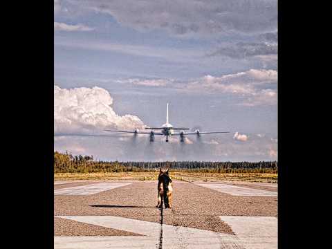 A Loyal Dog - Palma Edit | Emin & Jony - KAMIN ( Slowed & Reverb )
