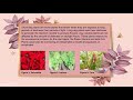 Plant Ecology and Environmental Factors