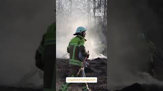 Flächenbrand auf altem Flugplatz in Cottbus