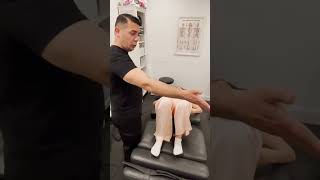 Lower Back Pain Relief By Dr. Trabulsi, Chiropractic Treatment In The NYC