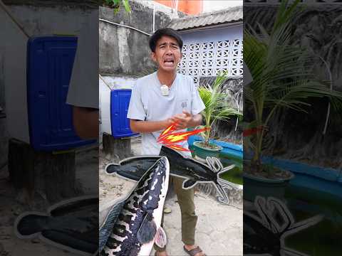 JADI LELE SETENGAH AKIBAT TOMAN GANAS HASIL EVAKUASI  SUDAH BERADAPTASI