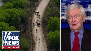 Newt Gingrich: This is a 'remarkable' example of privilege