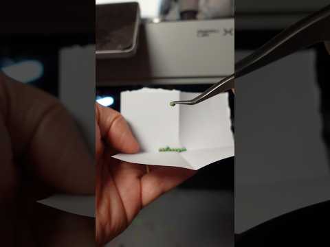 Launching Seeds Instead of BBs?! Can They Actually Grow? #3Dprinting #DIY #experiment #airsoft