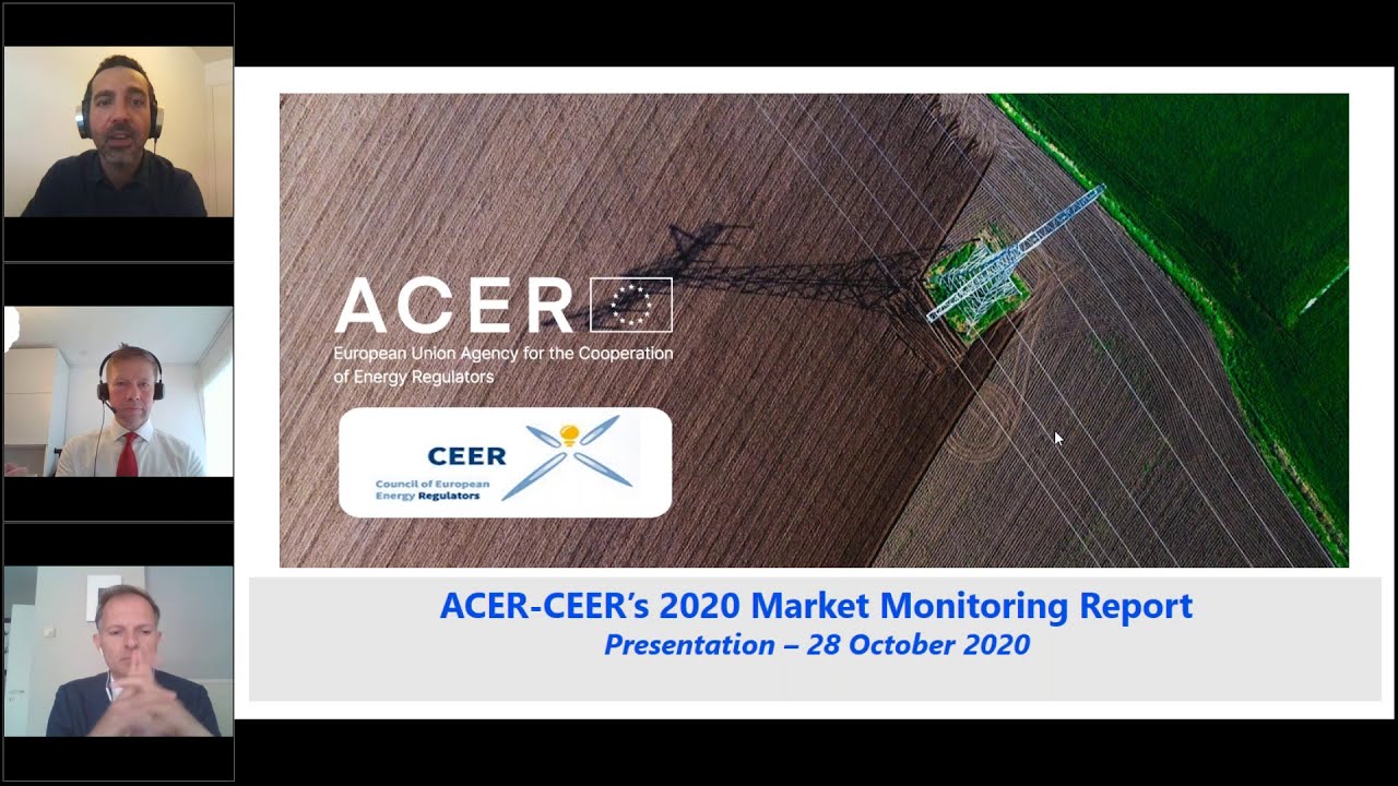 ACER-CEER webinar on the Market Monitoring Reports for 2019