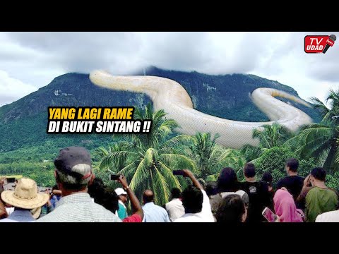 Viral !! Warga Ramai-Ramai Rekam Penampakan Ular Putih Raksasa Penunggu Bukit Sintang Kalimantan