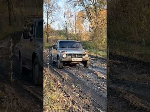 Легкое бездорожье!#нива