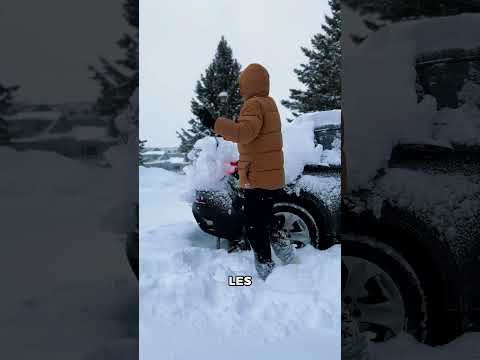 Pourquoi la Chine N’arrive-t-elle Pas à Faire Ce que le Japon Fait ?