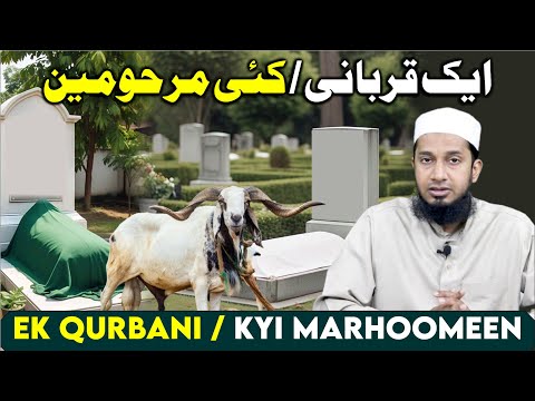 Ek Qurbani ka sawaab kyi marhoomeen ko pahunchana | ایک قربانی کا ثواب کئی مرحومین کو پہنچانا