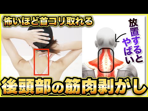 【首コリ】自律神経の乱れが原因!?首の後ろが辛い時にやってほしいセルフマッサージ【後頭下筋はがし】