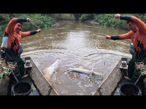 Amigos de la pesca Cap 1: Pescando bagres con caña y línea de mano.