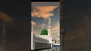 terey jeya koi