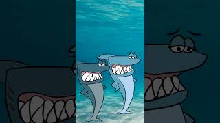 ❌ حياة الماعز ✅ حياة القرش 🦈 اليوم 15 🇪🇺🇲🇦🤣