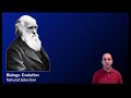 Natural Selection and Evolution Concepts