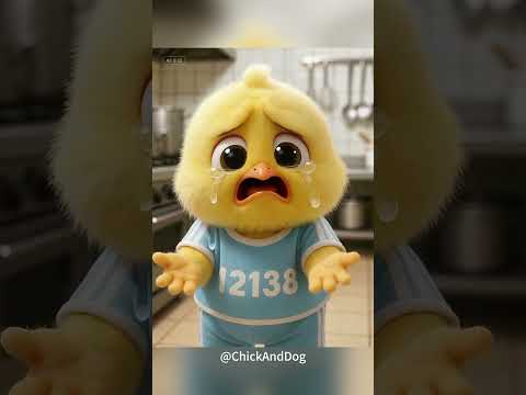 🐤😈 Smart Chick's M&Ms Chocolate Prank!  #funny